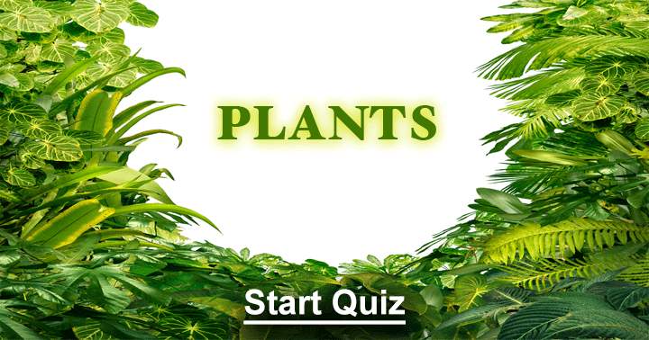 Banner for Plants Quiz. Can you answer them all?