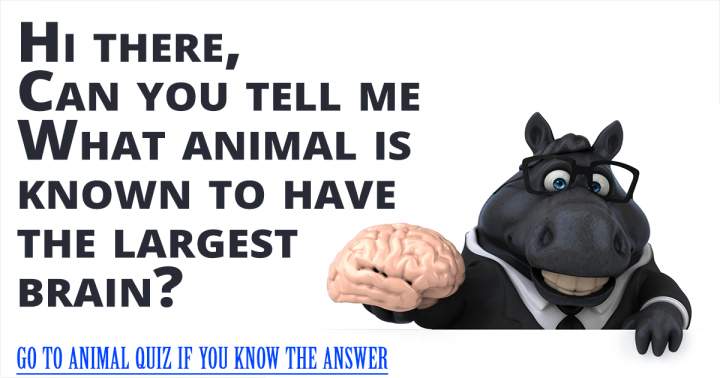 Banner for Hard Animal Quiz