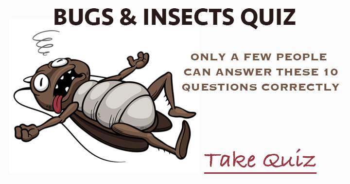 Banner for Only a handful of individuals can correctly respond to these 10 questions about Bugs & Insects.