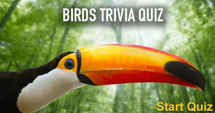 Banner for Can you achieve a minimum of 5 correct answers in the Birds Trivia Quiz?