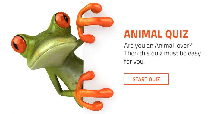 Banner for A trivia quiz designed for those who adore animals.