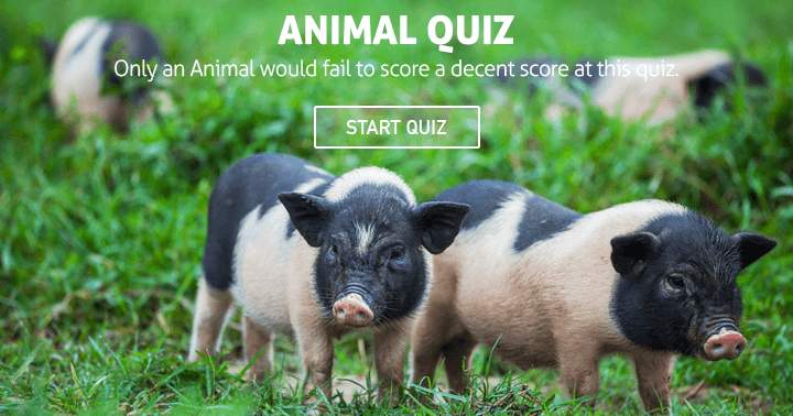 Banner for Can you complete this animal quiz flawlessly?