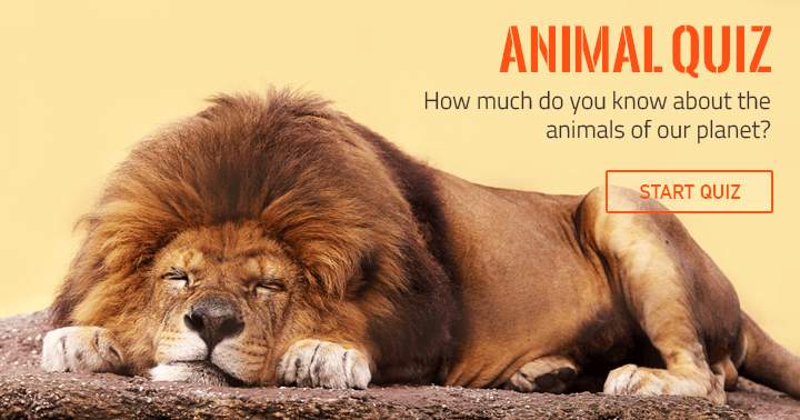 Banner for What is your knowledge level regarding animals?