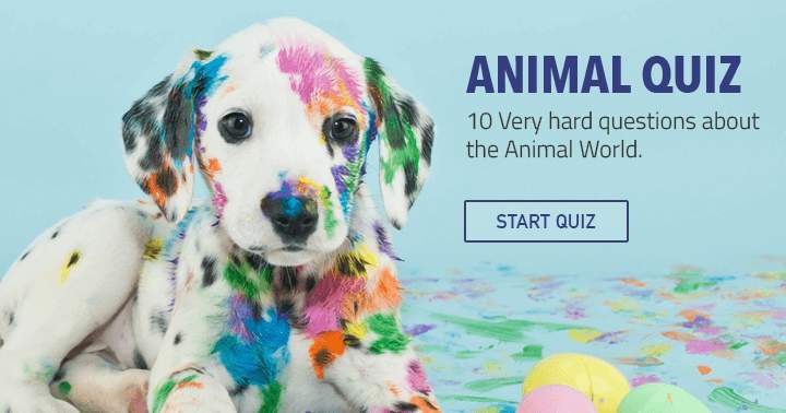 Banner for Complete these 10 questions regarding animals.