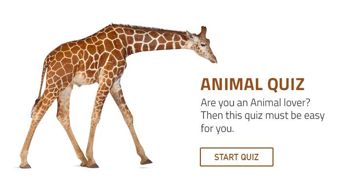 This quiz will be appreciated by animal enthusiasts.