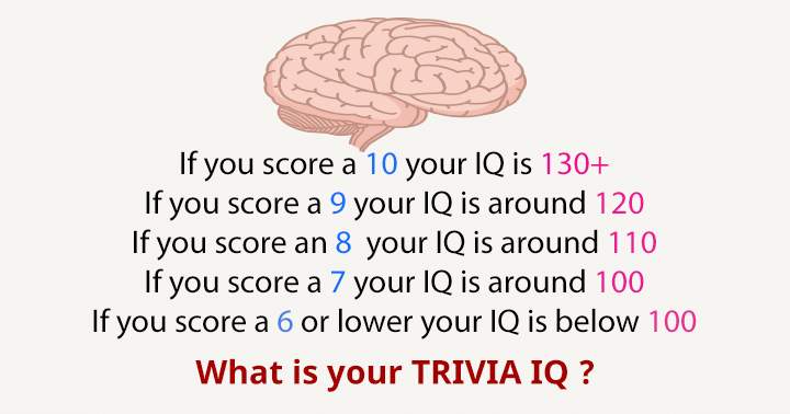 Banner for What's your level of trivia intelligence?