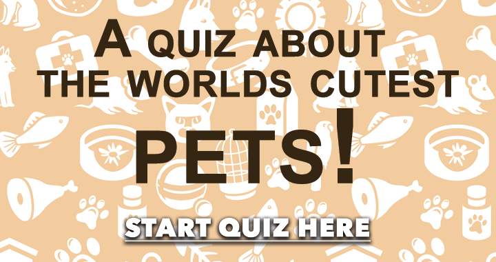 Banner for Pets Quiz: The Cutest