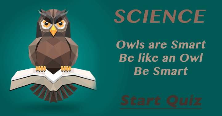 Banner for Are you able to match the intelligence of an owl?