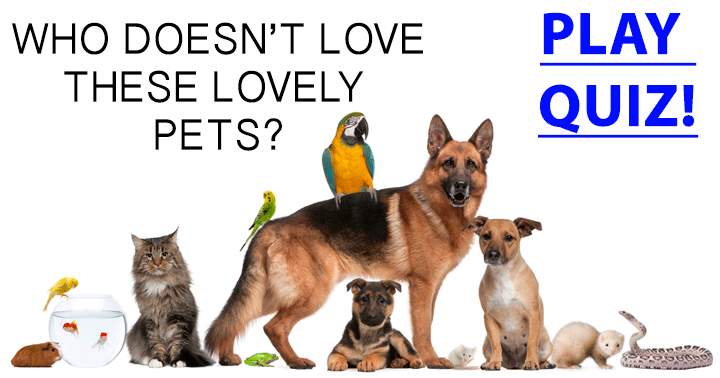 Banner for Everyone adores these charming pets, don't they?