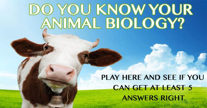 Banner for Are you familiar with animal biology?